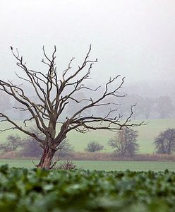 Sprawdź pogodę na weekend!