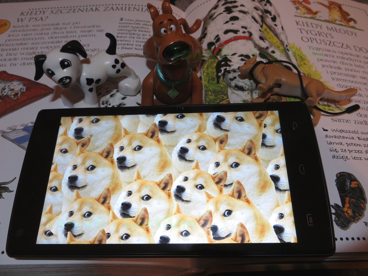 FantAsia: Doogee X5 Max, czyli tani telefon pod psem też znajdzie swoich zwolenników