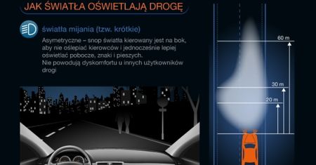 Widoczność na drodze