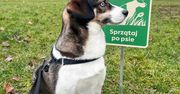 Warszawa: Narzekanie po zimie. "Nie ma gdzie postawić stopy"