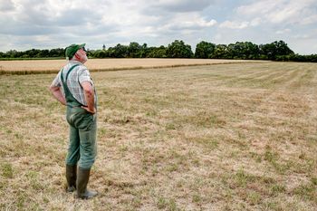 Konkretne wsparcie dla rolników. Miliardy euro w nowym budżecie UE