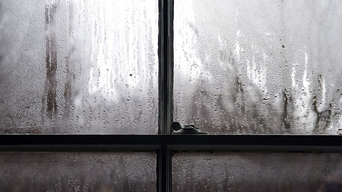 Niemiecki sposób na wilgoć