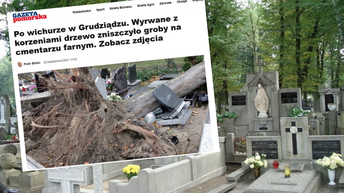 Na cmentarzu Farnym w Grudziądzu (woj. kujawsko-pomorskie) wyrwane drzewo poważnie zniszczyło kilka nagrobków. 