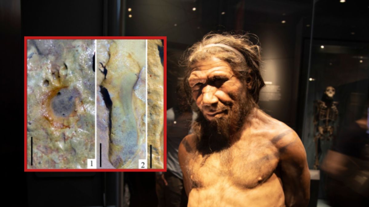 Odkryto ślady stóp Neandertalczyków