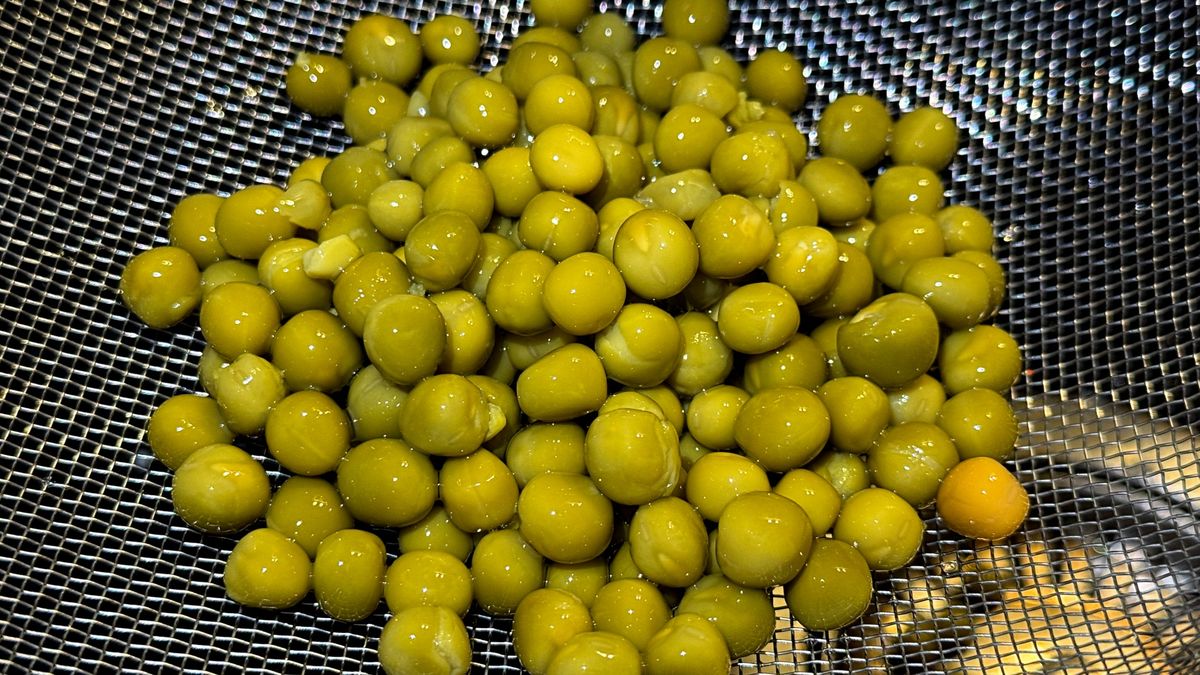 Groszek z puszki – mały, zielony, a może nieźle namieszać