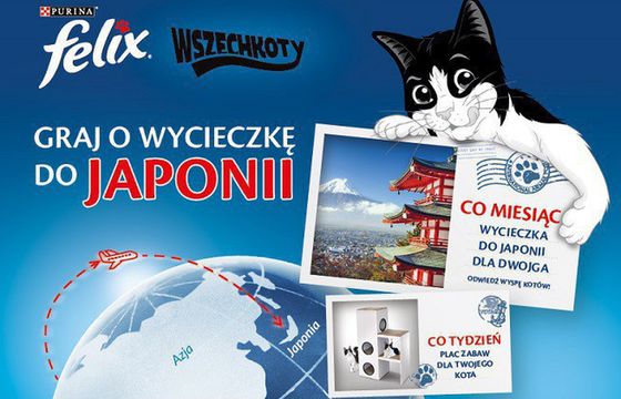 Purina Felix z kolejną edycją konkursu „Wszechkoty”