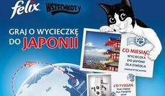 Purina Felix z kolejną edycją konkursu „Wszechkoty”