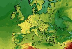 Pogoda długoterminowa. IMGW mówi, czy widać wiosnę
