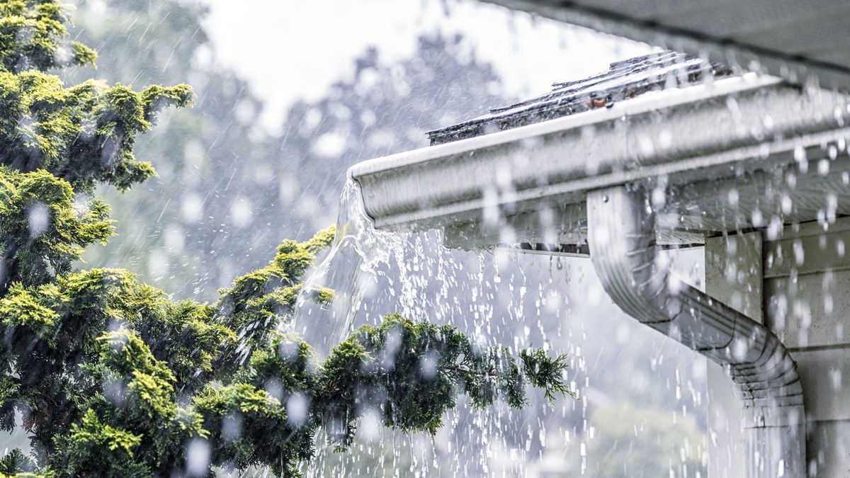 Torrential Summer Rain Storm Water Overflowing Roof Gutters
Drenching downpour rain storm water is overflowing off the tile shingle roof - streaming, rushing and splashing out over the overhanging eaves trough aluminum roof gutter system on a suburban residential colonial style house near Rochester, New York State, USA during a torrential mid-summer July downpour.
Willowpix
downspout, soffit, soaked, downpour, overhang, down spout