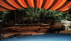 Dyrektor Baltic Opera Festival chce przywrócić Operze Leśnej jej pierwotną funkcję