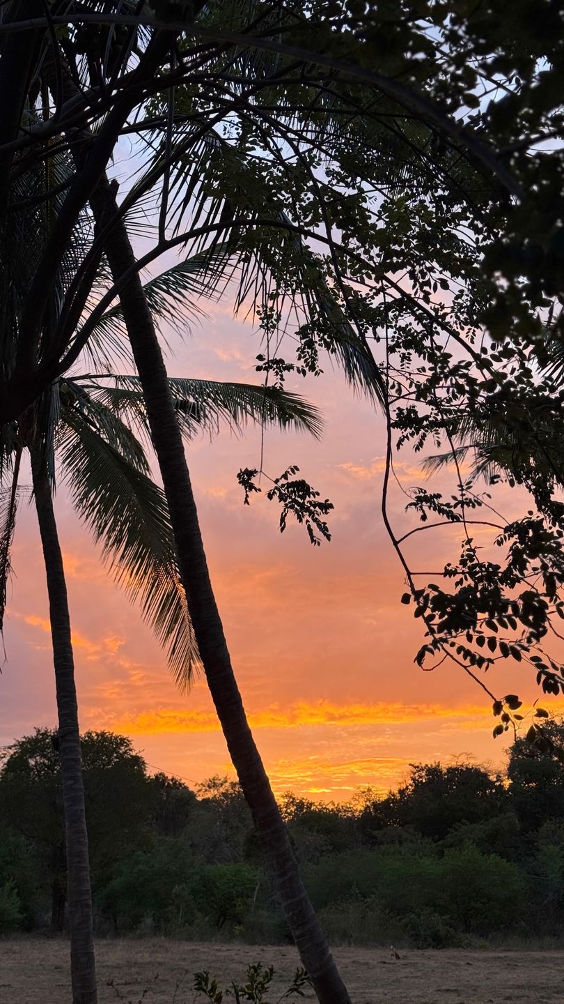 Małgorzata Rozenek na Sri Lance