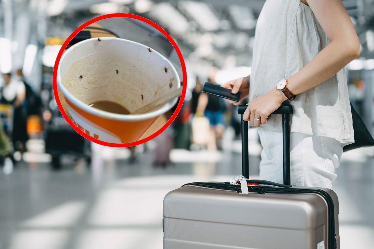 Life-threatening insects in airport coffee lead to legal action