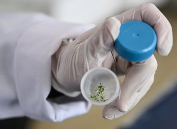 Ziemniaki z Księżyca. Czy kosmiczne rolnictwo ma przyszłość?