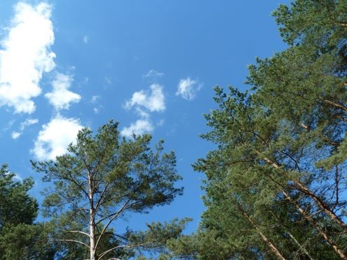 Panasonic Lumix TZ10 - TEST cz. 2 2