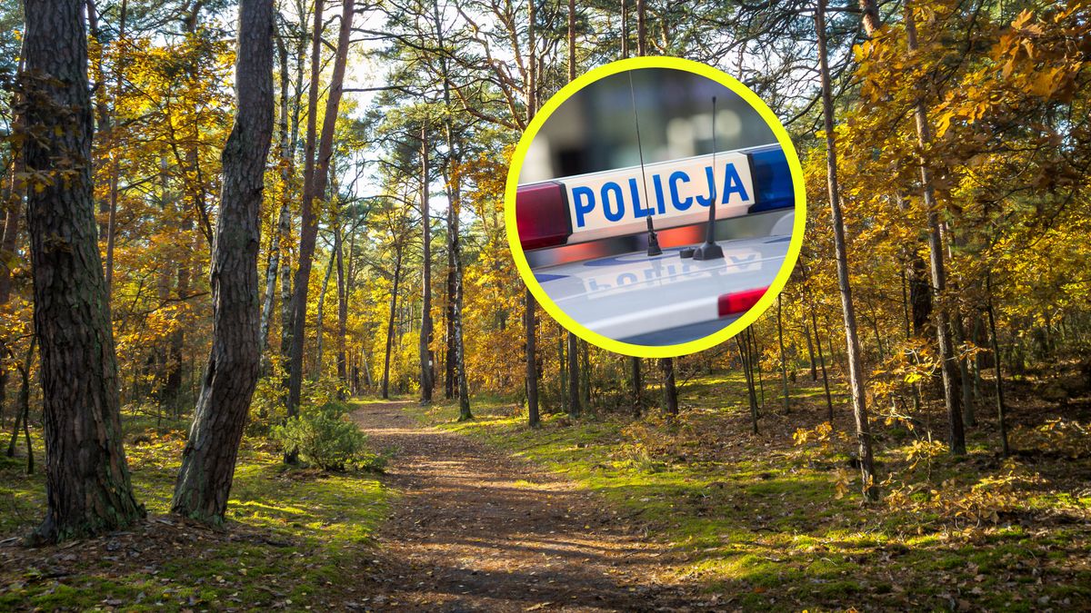 Makabryczne odkrycie w lesie (zdj. ilustracyjne).