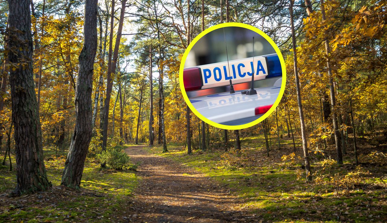 Wstrząsające odkrycie w lesie. Wisiały na stalowych linach