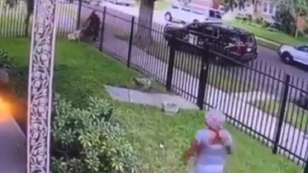 Policjant zastrzelił psa znajdującego się na prywatnej posesji