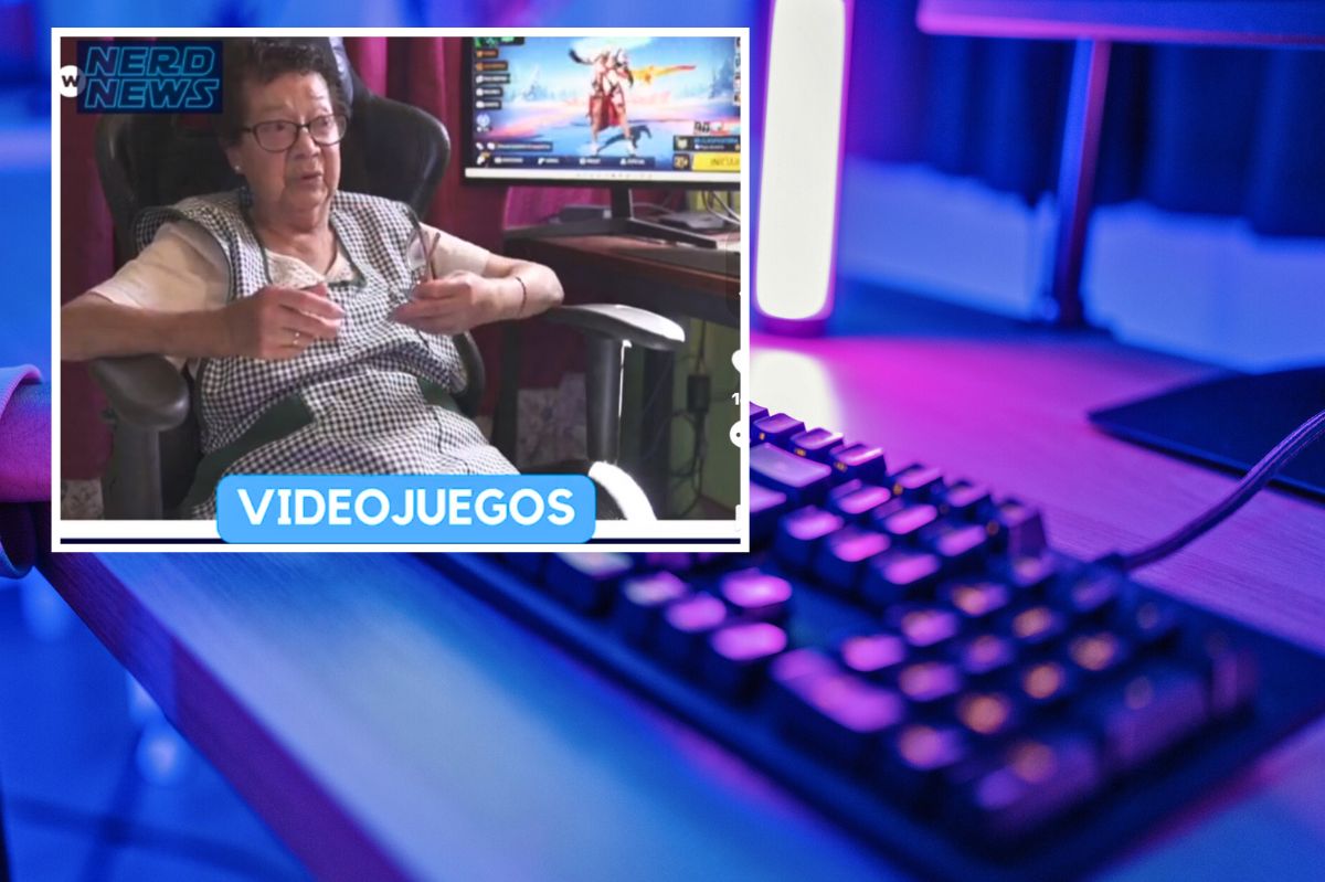 The elderly lady in front of the computer