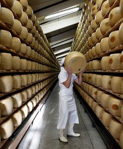 Przez 6 godzin kradli 42-kilogramowe kawały sera warte 100 tys. euro