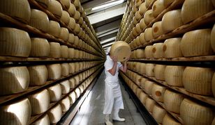 Przez 6 godzin kradli 42-kilogramowe kawały sera warte 100 tys. euro