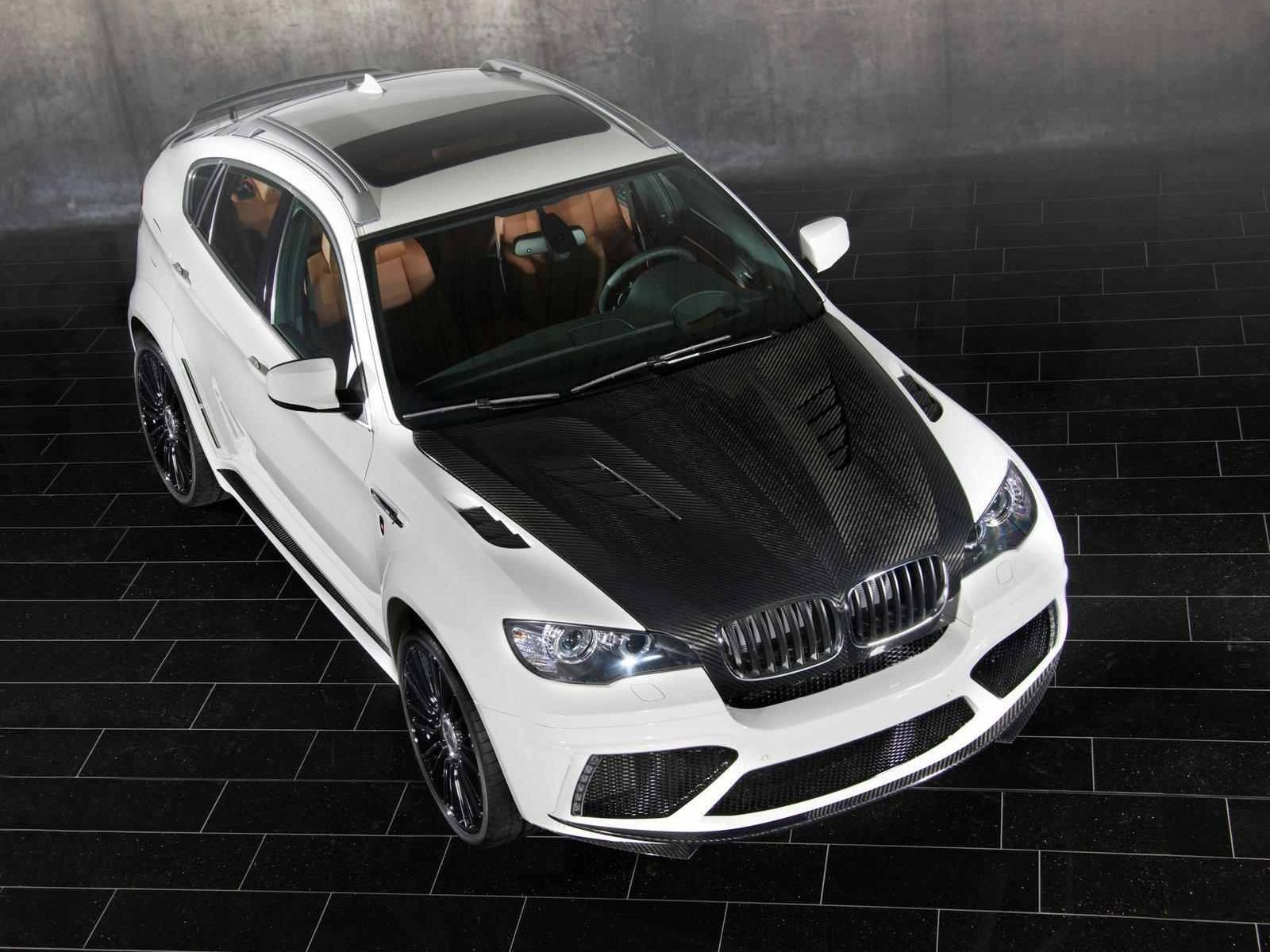 Mansory X6 M fot.3