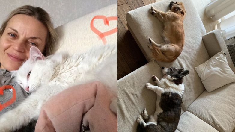 Tak mieszka Małgorzata Foremniak