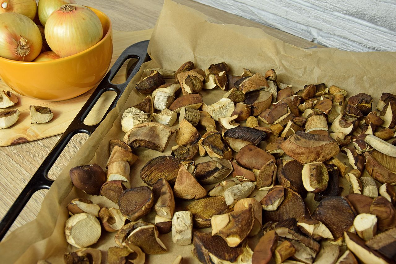 Polacy marnują kilogramy grzybów. Wszystko przez prosty błąd