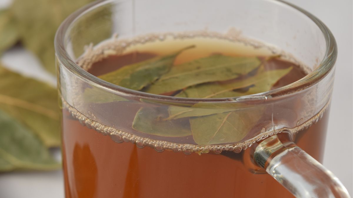 Napar z liści laurowych