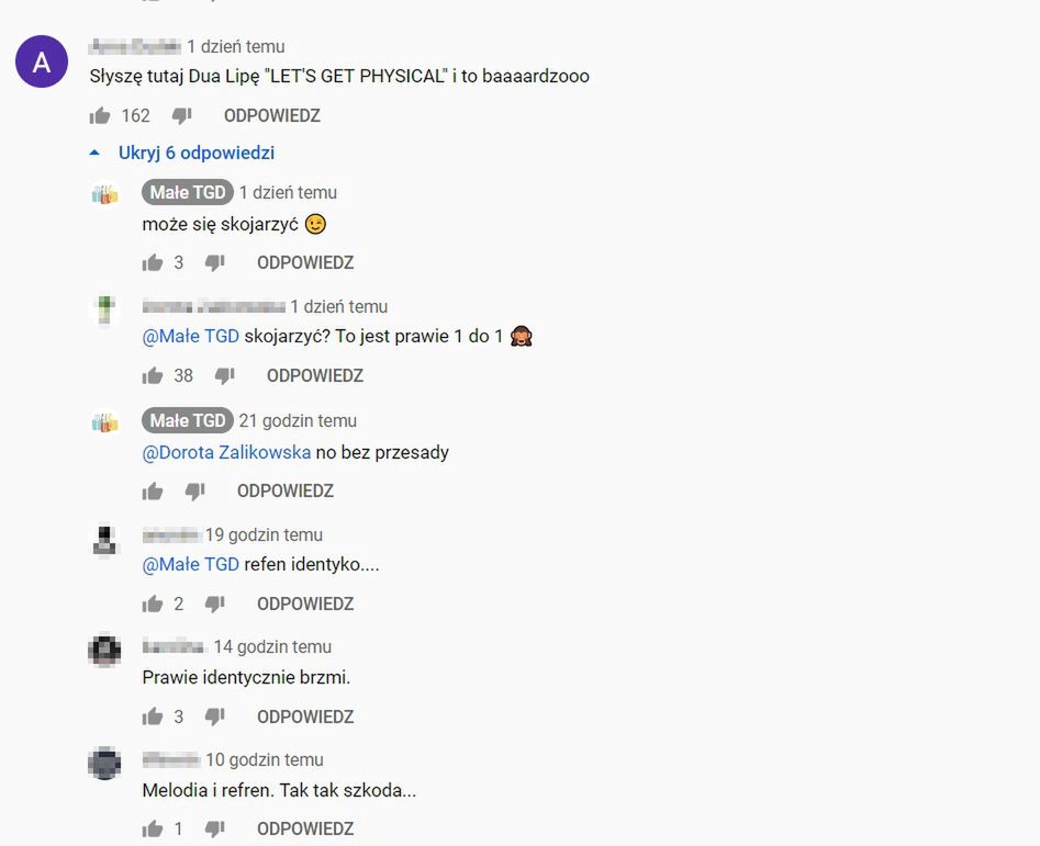 Reakcja fanów na nową piosenkę Roksany