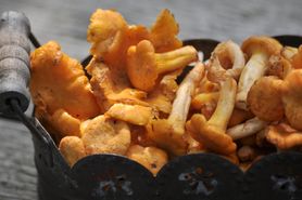 Sos z kurek - kalorie i wartości odżywcze, składniki, przepis