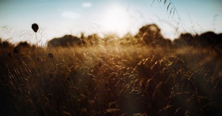 Rozglądał się po polu. To odkrycie zszokowało mieszkańców