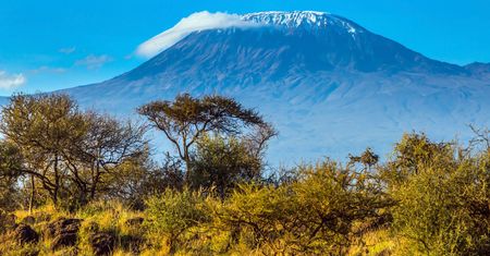 Tanzania. Palą się zbocza Kilimandżaro