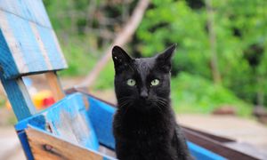 Nadal w to wierzymy. Ponad 50 proc. Polaków