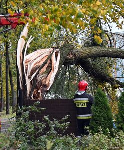 Potężna wichura nad Polską! Zginęły 4 osoby, tysiące interwencji [ZDJĘCIA]