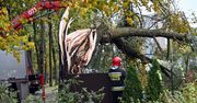 Potężna wichura nad Polską! Zginęły 4 osoby, tysiące interwencji [ZDJĘCIA]