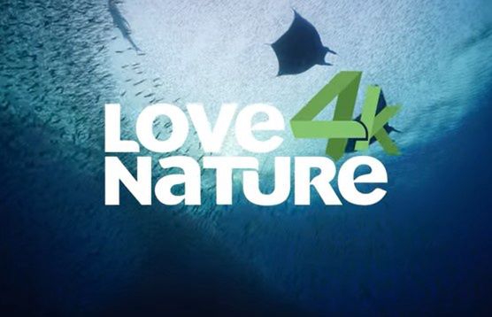 Zmiany w Canal+? Do oferty może trafić kanał w 4K, inny zmieni parametry