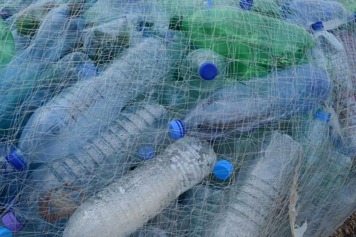 Z butelek plastikowych przygotujesz naprawdę piękną choinkę