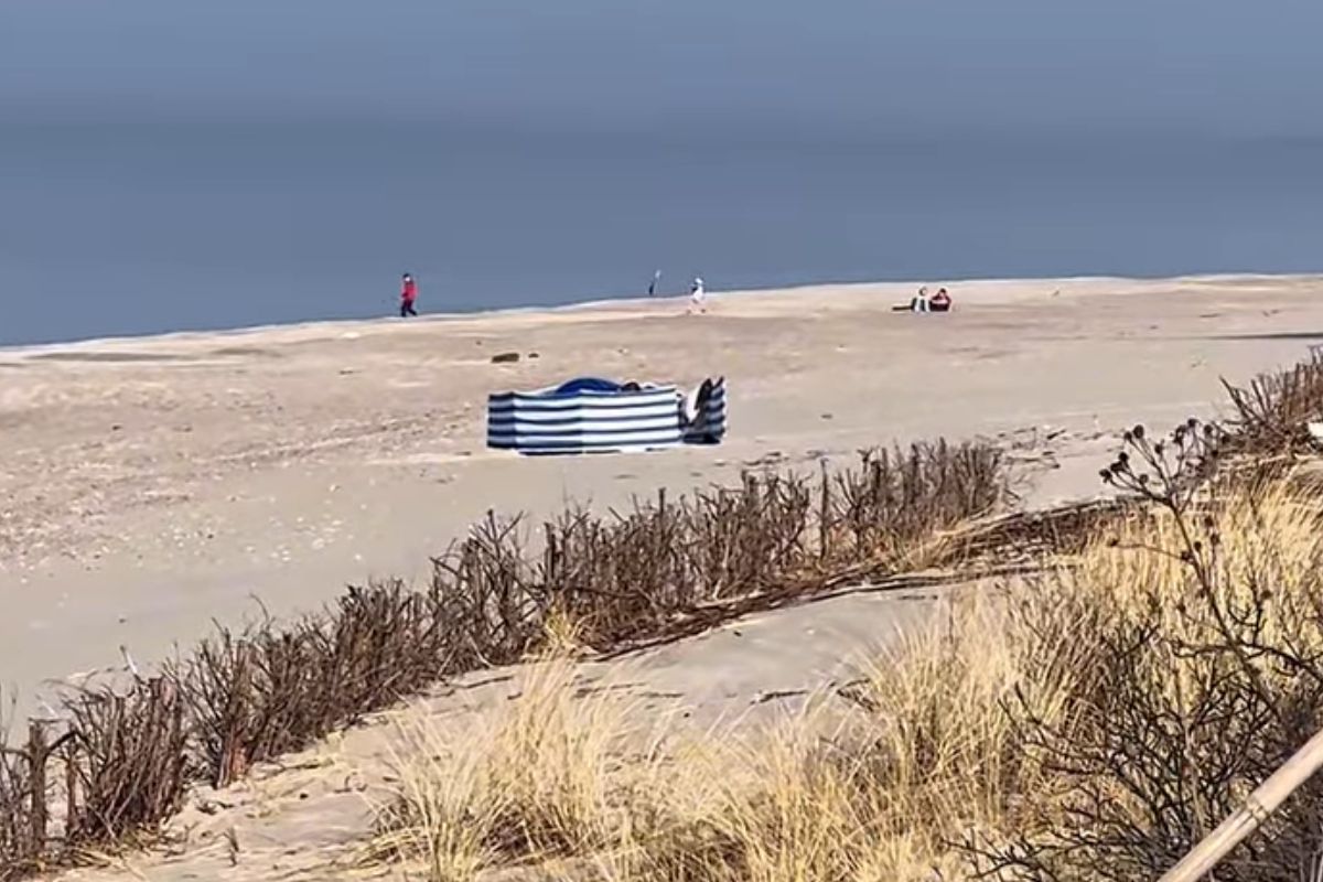 Sezon na parawany nad Bałtykiem otwarty. "Opalają się morsy"