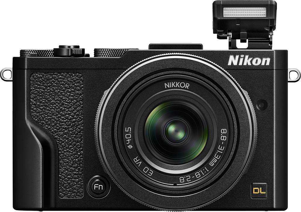 Nikon DL24-85