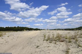 Mieszkańcy gminy Klucze nie chcą obwodnicy. Bo zagraża Pustyni Błędowskiej