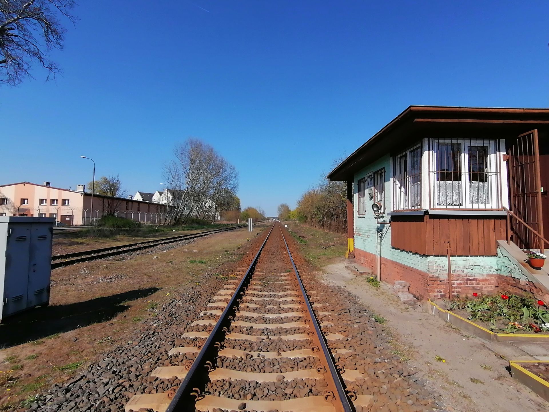 Obraz