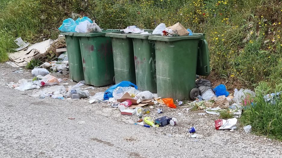  Zdjęcie ilustracyjne
