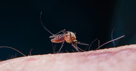 Trudna sytuacja. Wzrostowi zgonów winne zmiany klimatyczne
