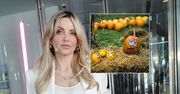 Maja Frykowska nawróciła się lata temu. Teraz dobitnie mówi o Halloween
