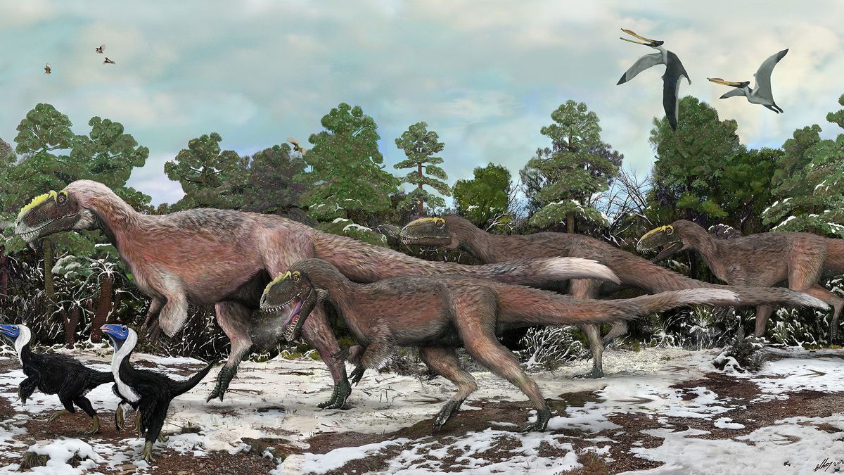 Yutyrannus to największy znany dinozaur z piórami