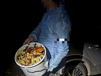 Oława: Tak wciągnęło go zbieranie grzybów, że zgubił się w lesie. Znaleźli go z pełnym wiadrem
