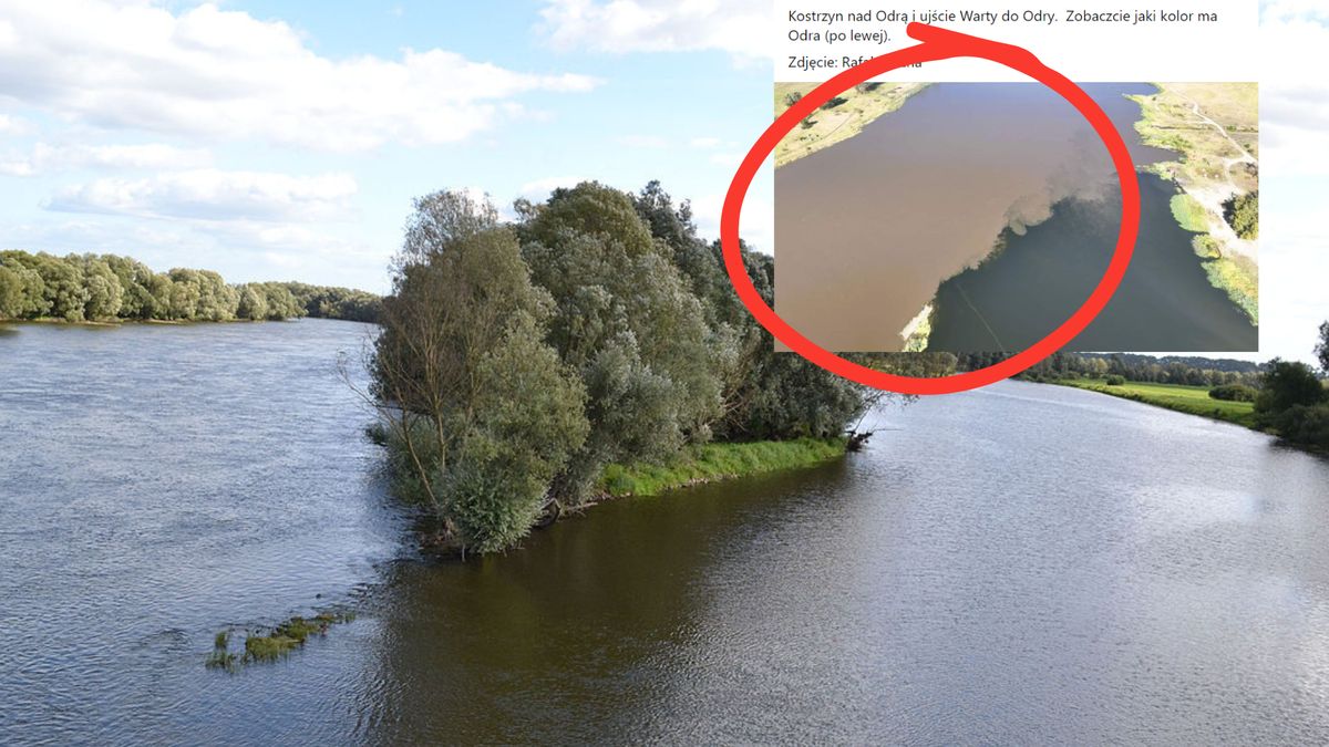 Pokazali kolor Odry. Internauci w szoku