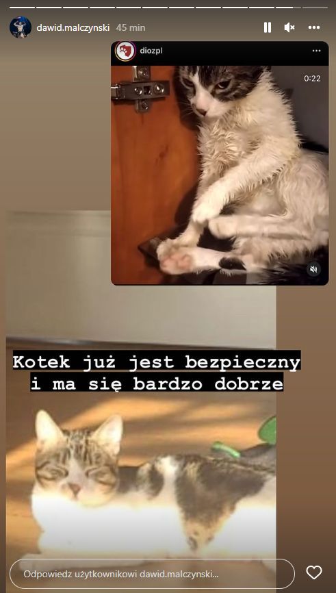 Influencerzy podawali dalej informacje od DIOZ