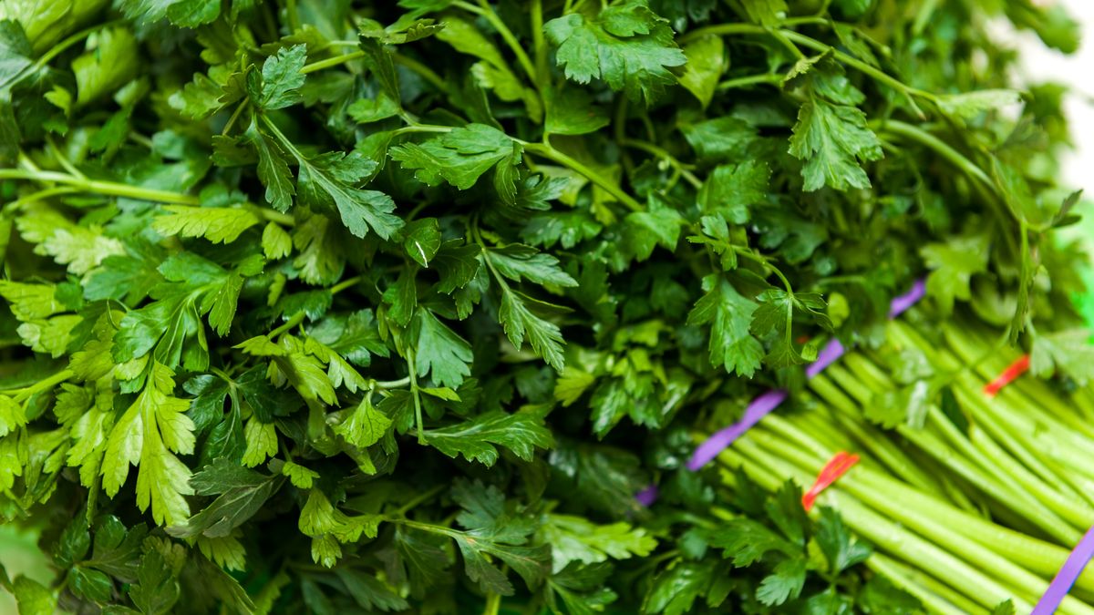 Pietruszka - kto nie powinien jej jeść?