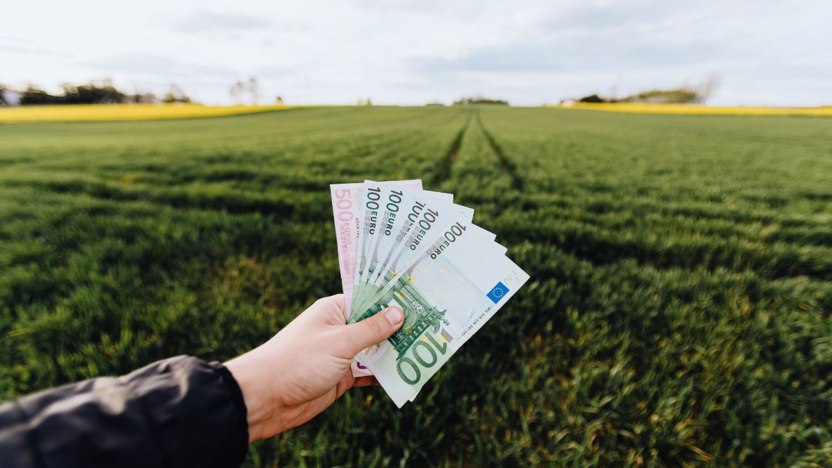 UE ozłoci młodych rolników? "Pakiet startowy" miałby wynieść 300 tys. euro
